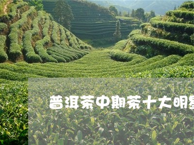 普洱茶中期茶十大明星/2023093061804