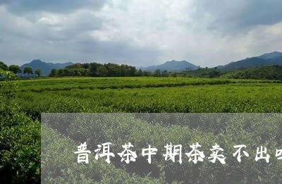 普洱茶中期茶卖不出吗/2023080267593