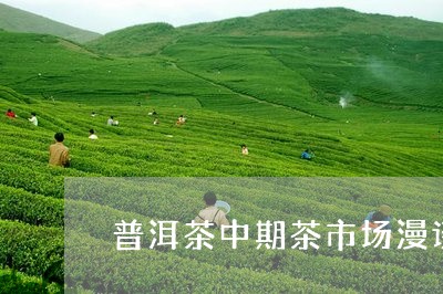 普洱茶中期茶市场漫谈/2023080117352