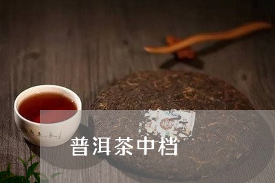 普洱茶中档/2023090559704