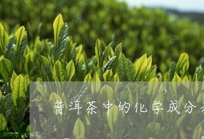 普洱茶中的化学成分表/2023092783836