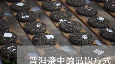 普洱茶中的品饮方式/2023070971715