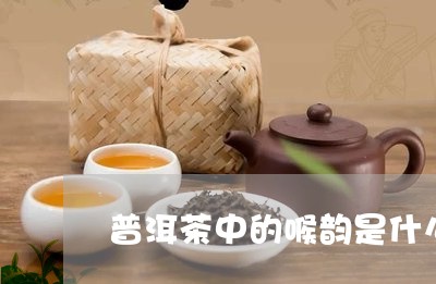 普洱茶中的喉韵是什么/2023092830361