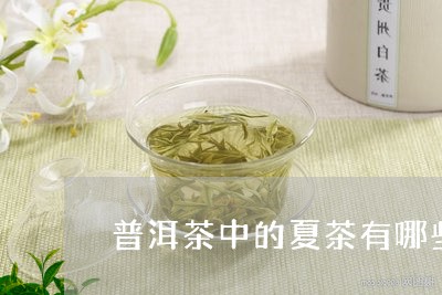 普洱茶中的夏茶有哪些/2023062333817