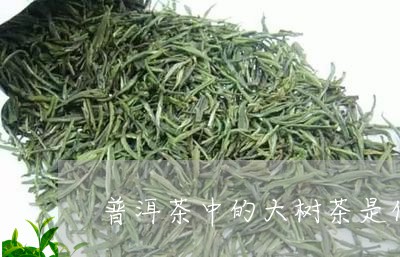 普洱茶中的大树茶是什么茶/2023110213016