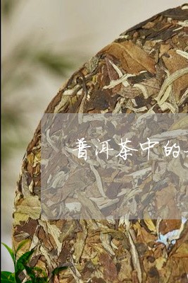 普洱茶中的好文分享/2023112787139