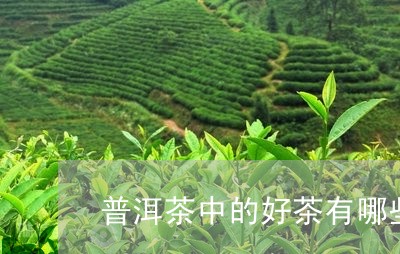 普洱茶中的好茶有哪些/2023092861615