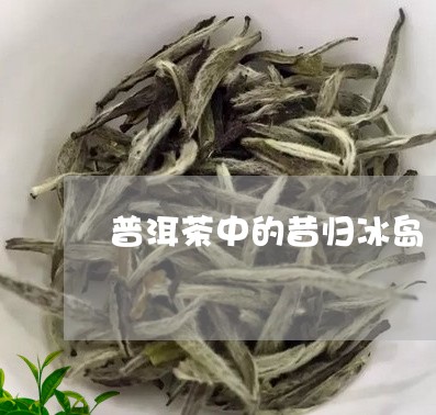 普洱茶中的昔归冰岛/2023071145937