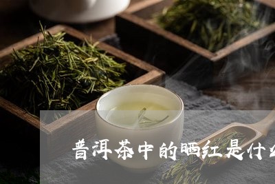 普洱茶中的晒红是什么/2023092812617