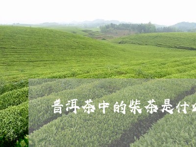 普洱茶中的柴茶是什么样的/2023082950826