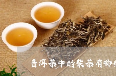 普洱茶中的柴茶有哪些种类/2023110655917