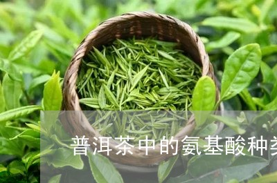 普洱茶中的氨基酸种类/2023062849583