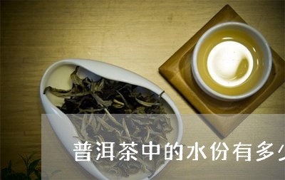 普洱茶中的水份有多少种/2023050523593