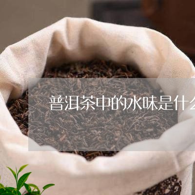 普洱茶中的水味是什么/2023092709383