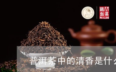 普洱茶中的清香是什么/2023062299380