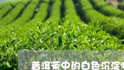 普洱茶中的白色沉淀物/2023062190615