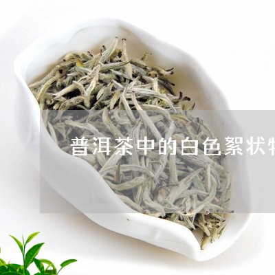 普洱茶中的白色絮状物/2023093026250