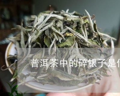 普洱茶中的碎银子是什么品种的茶/2023121679381