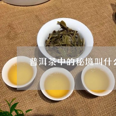 普洱茶中的秘境叫什么名称/2023112831693