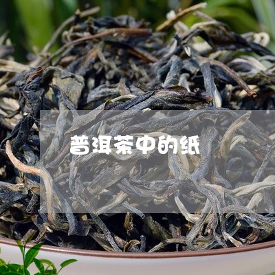 普洱茶中的纸/2023042588257