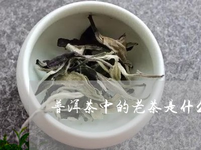 普洱茶中的老茶是什么/2023062529472