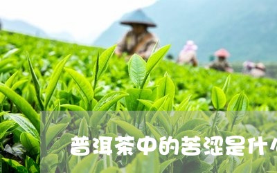 普洱茶中的苦涩是什么/2023093004936