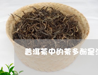 普洱茶中的茶多酚是涩/2023062285939