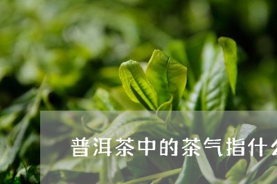 普洱茶中的茶气指什么/2023062331694