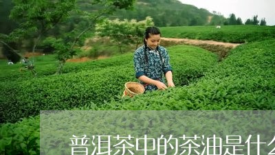 普洱茶中的茶油是什么/2023073017370