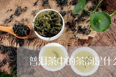 普洱茶中的茶韵是什么/2023080274038