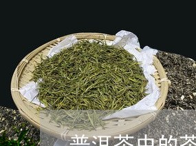 普洱茶中的茶香是什么/2023062271594