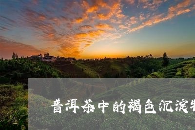 普洱茶中的褐色沉淀物/2023092759596