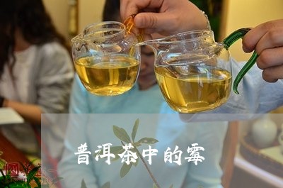 普洱茶中的霉/2023042810419