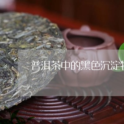 普洱茶中的黑色沉淀物/2023072429492