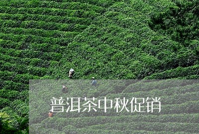 普洱茶中秋促销/2023110694937