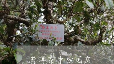 普洱茶中秋国庆/2023110688350