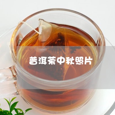 普洱茶中秋照片/2023121644724