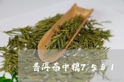 普洱茶中粮7581/2023070881807