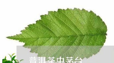 普洱茶中茅台/2023042711503