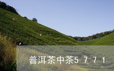 普洱茶中茶5771/2023070939614