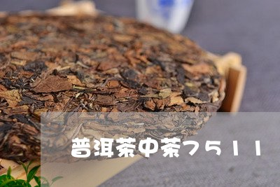 普洱茶中茶7511/2023120566250