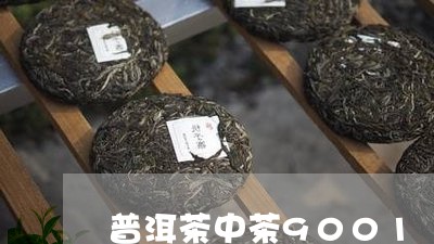 普洱茶中茶9001/2023120410613