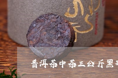 普洱茶中茶三公斤黑砖/2023093001736