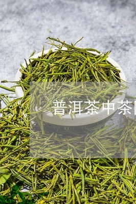 普洱茶中茶圆饼/2023120359371