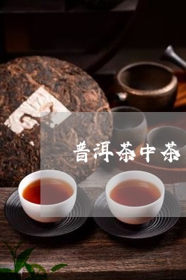 普洱茶中茶多酚转化率/2023062989503