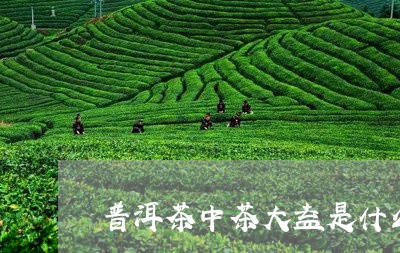 普洱茶中茶大益是什么茶/2023082952717