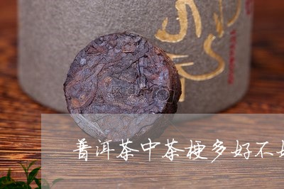 普洱茶中茶梗多好不好/2023062165957