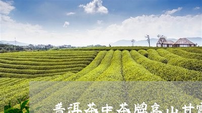 普洱茶中茶牌高山甘露/2023100853815