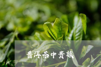 普洱茶中贵族/2023042758859