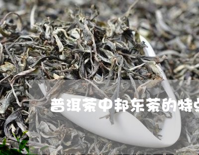 普洱茶中邦东茶的特点和功效/2023121616949